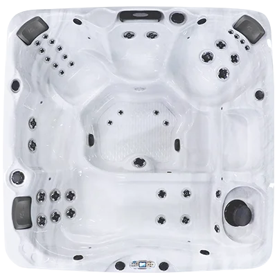 Avalon EC-840L hot tubs for sale in Augusta Richmond