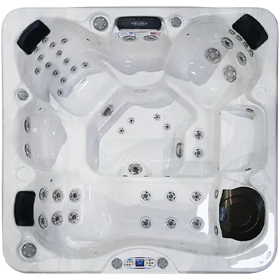 Avalon EC-849L hot tubs for sale in Augusta Richmond
