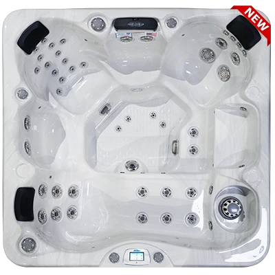 Avalon-X EC-849LX hot tubs for sale in Augusta Richmond