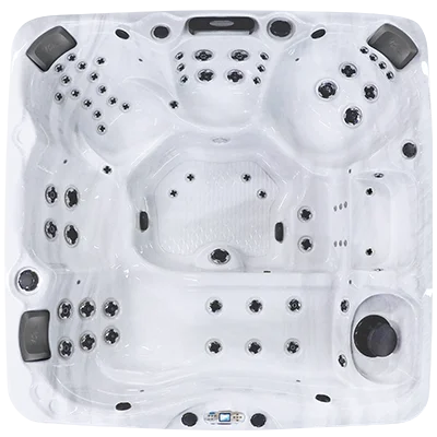 Avalon EC-867L hot tubs for sale in Augusta Richmond