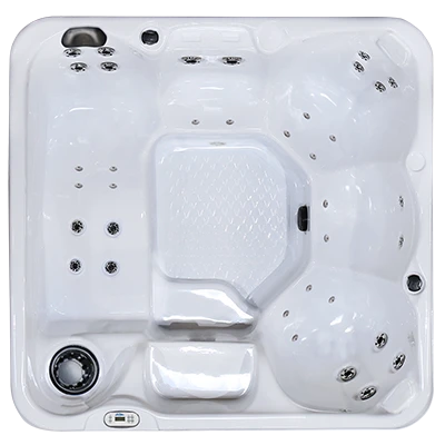 Hawaiian PZ-636L hot tubs for sale in Augusta Richmond